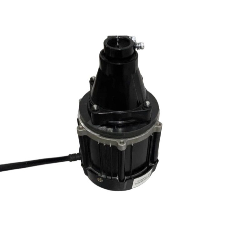 12-60V 500-1500W Brushless Out - Fishing Boat Trolling Motor reseña y precio