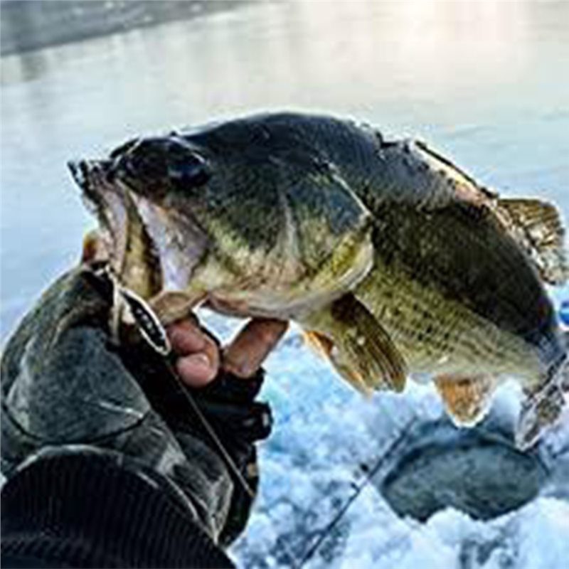 ABUE-Kayak Portable Fish Depth - Fishing Boat Depth Finder reseña y precio