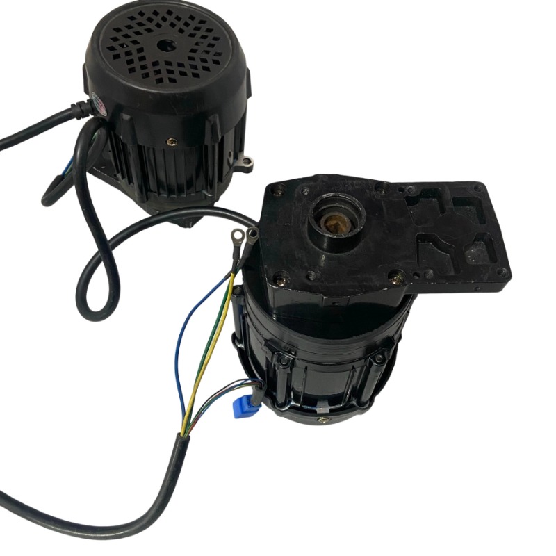 48V 1000/1200/1500W High-Speed - Fishing Boat Trolling Motor reseña y precio