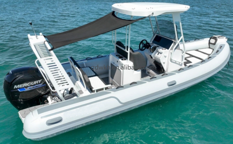 MSCE Certified Sport Style Dou - Fishing Boat Fiberglass reseña y precio